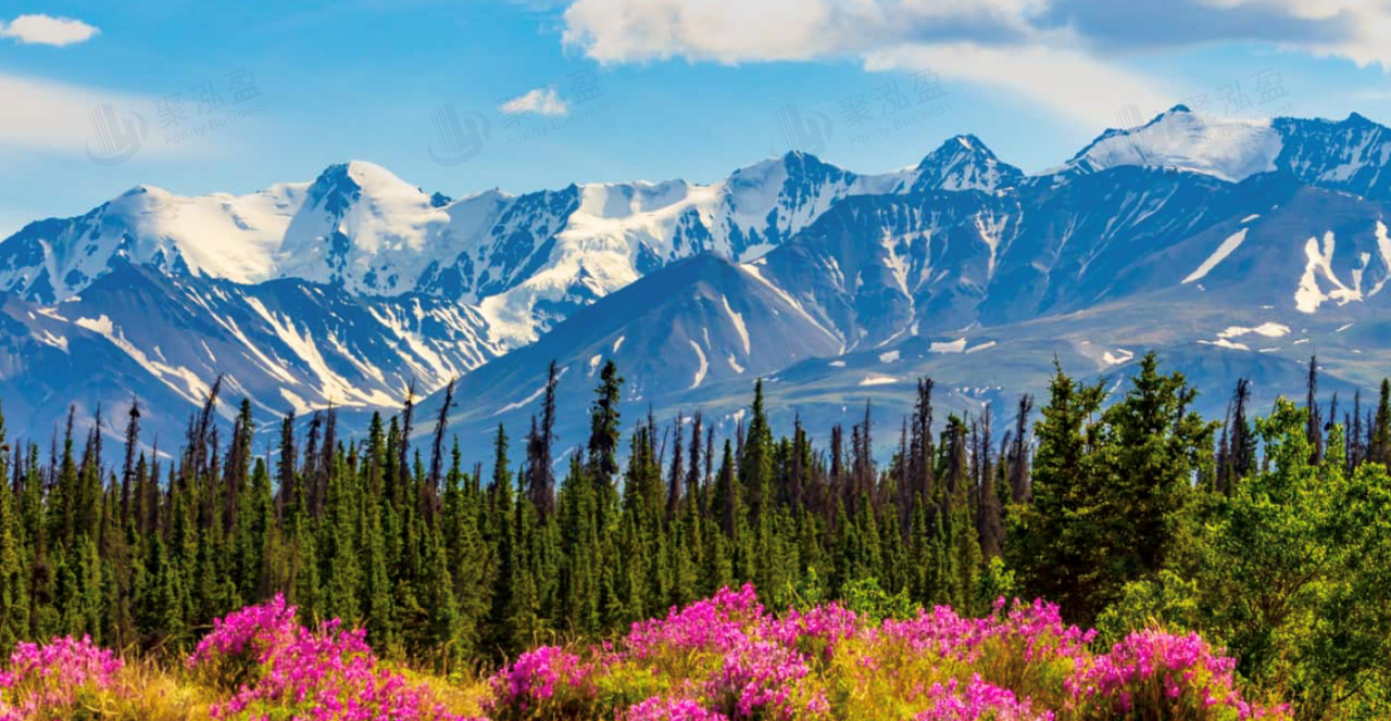 加拿大移民大放水？EE开年狂揽超4万人！CRS分数逼近两年低点！